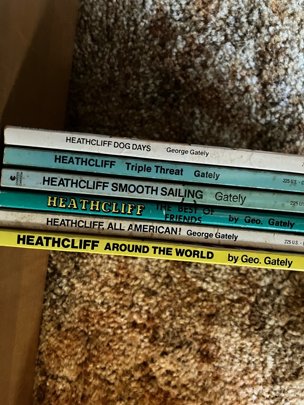 Heathcliff Kids Book Spine Accent Set — Multicolor